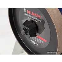 Заточный станок Белмаш WPG-250/200VS