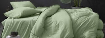 1.5-спальный комплект постельного белья Luxor № Фисташка (N) 1.5 (поплин гл/кр)