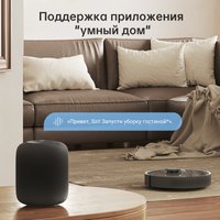 Робот-пылесос Dreame Bot D10s Plus (международная версия, черный)