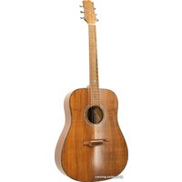 Акустическая гитара Randon RGI-500