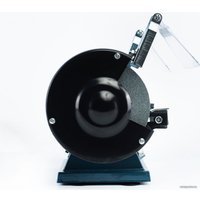 Заточный станок Alteco BG 150-125 12752