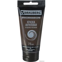 Акриловая краска BRAUBERG Art Classic 191114 (умбра натуральный, 75 мл)