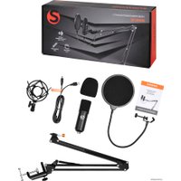 Микрофон SunWind SW-SM400G