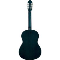 Акустическая гитара Valencia VC213 TBU