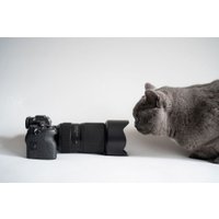 Объектив Tamron 50-300mm F/4.5-6.3 Di III VC VXD