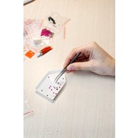 Алмазная мозаика  Феникс+ Пионы 68628