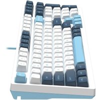 Клавиатура A4Tech Fstyler FS300 Panda Snowboarding