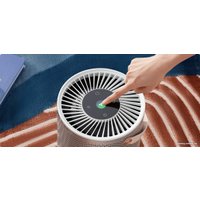 Очиститель воздуха SmartMi Air Purifier P2 ZMKQJHQP21