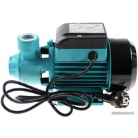 Самовсасывающий насос OMNIGENA WZ 250B