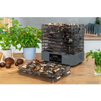 Сушилка для овощей и фруктов Goetze & Jensen FD800