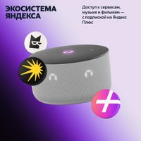 Умная колонка Яндекс Станция Мини 3 с часами (серый)