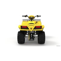 Квадроцикл IRBIS ATV 125 (желтый)