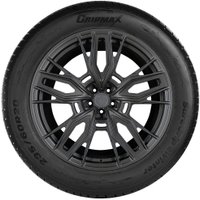 Зимние шины Gripmax SureGrip eWinter 215/40R17 87V