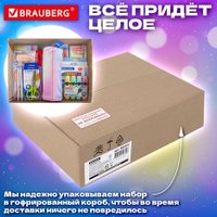 Набор школьника BRAUBERG Подарочный 880952 (63 предмета)