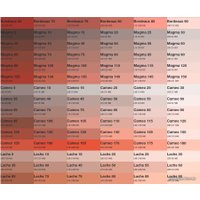 Краска Belkras Интерьерная (15 кг, белый)