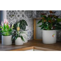 Кашпо Polnix 05.148.14