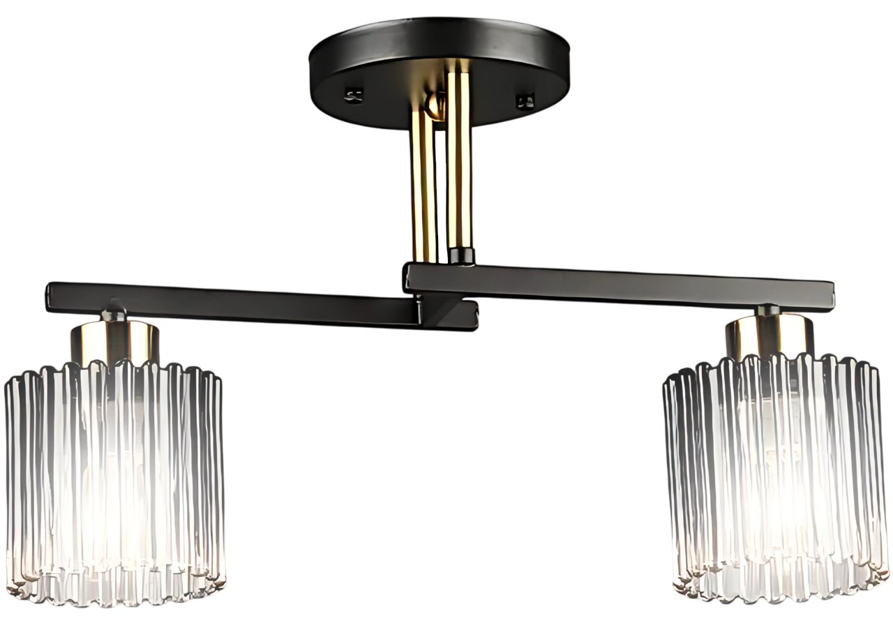 

Припотолочная люстра Aitin Pro НПБ 02-2x60-101 N6787/2 (черный/медь)