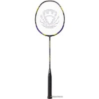 Теннис/бадминтон Torres Carbon Pro6 BD-20521 (фиолетовый)
