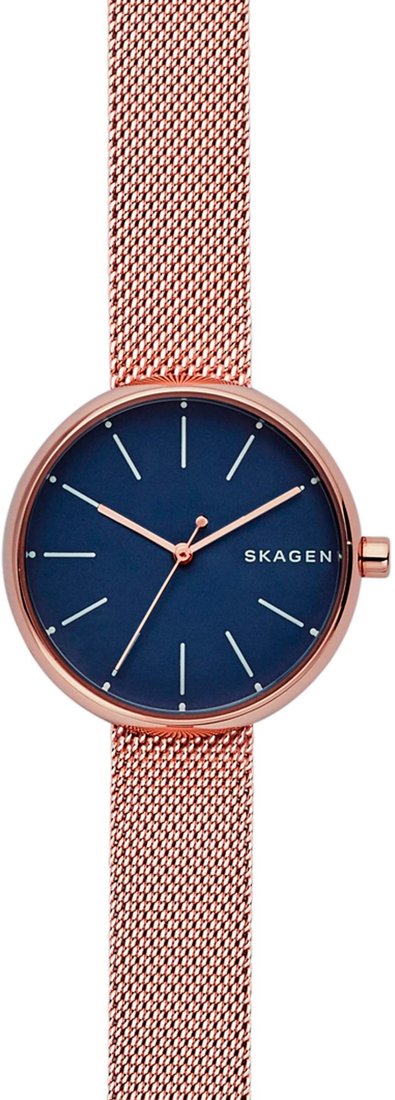 

Наручные часы Skagen SKW2593