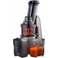 Соковыжималка Goetze & Jensen SJ901T