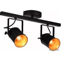 Спот Stilfort Neider 3015/02/02C