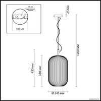 Подвесная люстра Odeon Light Roofi 4752/1