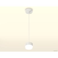 Подвесная люстра Ambrella light Techno spot XP8110025 SWH/FR/CL