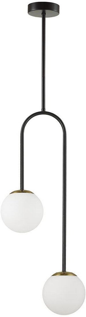 

Подвесная люстра Lumion Dexter 6500/2C