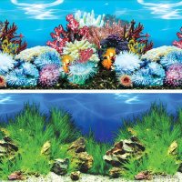 Фон Laguna 8006/9022 У берегов Австралии/Холмистая долина 40x80 см