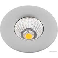 Точечный светильник Arte Lamp Uovo A1425PL-1GY