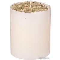 Ароматизированая свеча Adpal 348-898