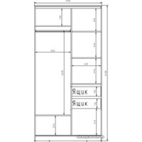 Шкаф-купе Рэйгрупп 120450 SSX Elgon РГ-06.02 (сосна натуральная/хром)