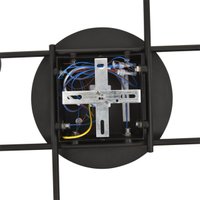 Припотолочная люстра Lumion Benua 8304/6C