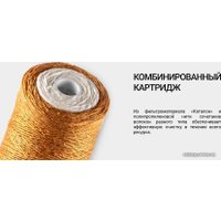 Картридж Гейзер Каталон Дуплекс 20ВВ