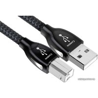 Кабель AudioQuest USB A - USB B Carbon 0.75 м