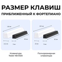 Синтезатор Tesler KB-6120 (белый)