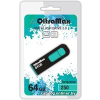 USB Flash OltraMax 250 64GB (бирюзовый) [OM-64GB-250-Turquoise]