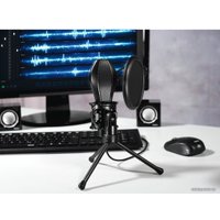 Проводной микрофон Hama MIC-USB Stream 00139907 в Витебске