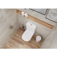 Унитаз напольный Lauter W76 P-TRAP 21122762 + гигиенический душ Infinity 21LT0103CH (горизонтальный выпуск)