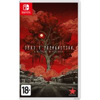  Deadly Premonition 2: A Blessing in Disguise для Nintendo Switch