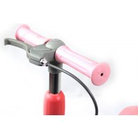 Трехколесный самокат RiverToys HB-T-66 (розовый)