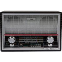 Радиоприемник Ritmix RPR-101 (черный)