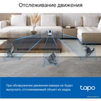 IP-камера TP-Link Tapo C220