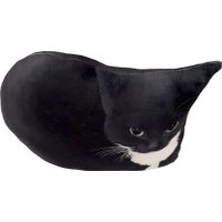 Декоративная подушка Мальвина Максвелл Кот Мем 9.438.1 в Витебске