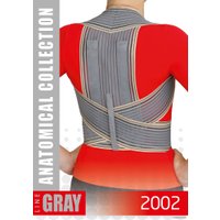 Корректор осанки MEK 2002 (XL, серый)