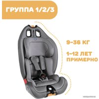 Детское автокресло Chicco Gro-up 123 (red passion)