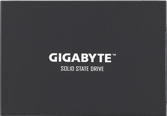 Gigabyte UD Pro 256GB GP-GSTFS30256GTTD