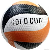 Волейбольный мяч Gold Cup VV-18 (5 размер)