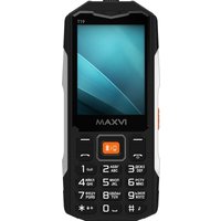 Кнопочный телефон Maxvi T19 (черный)