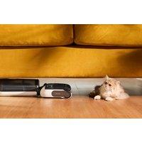 Вертикальный моющий пылесос Roborock Wet and Dry Vacuum Cleaner F25 LT (с русской озвучкой, черный)